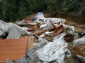 insediamentisgomberato6